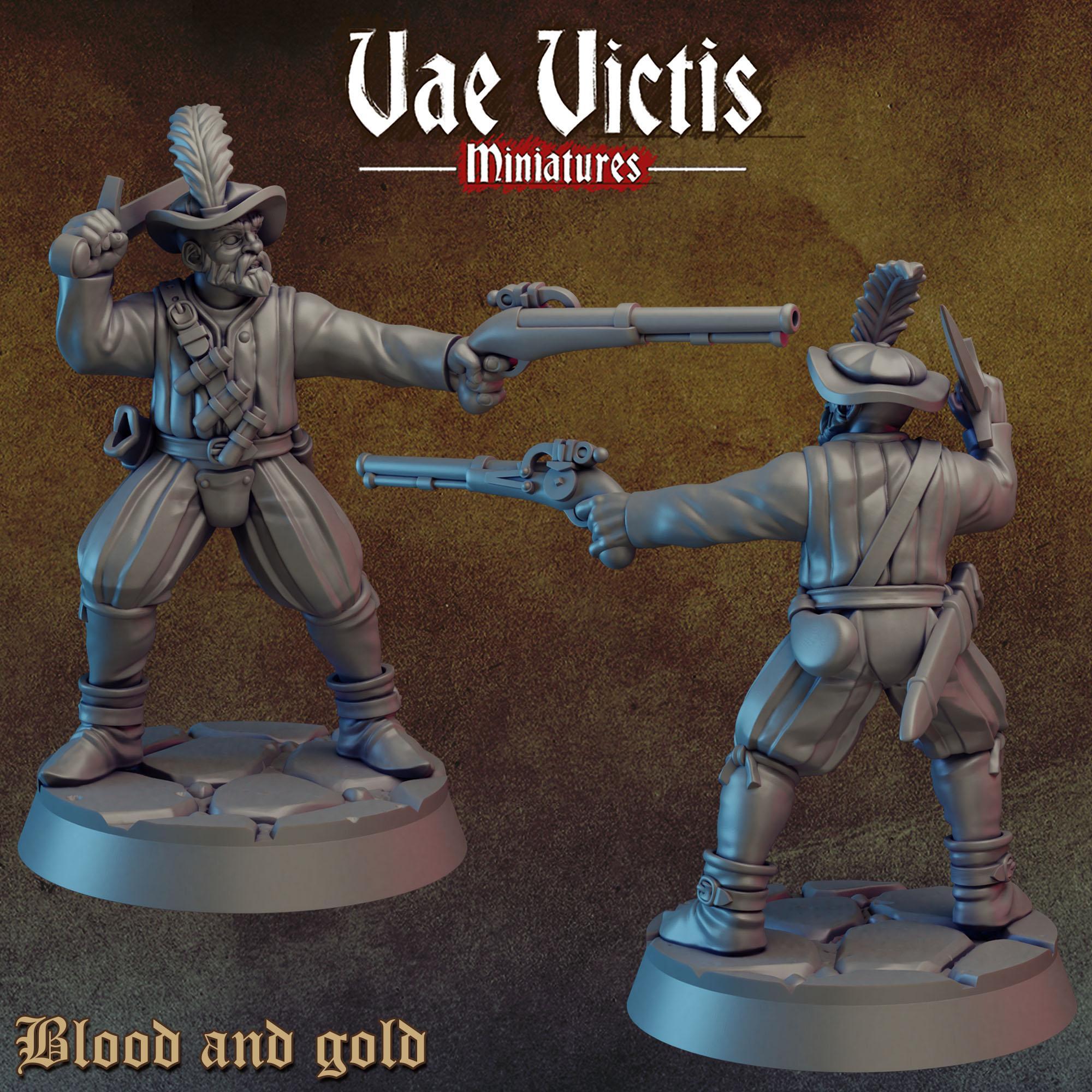 BLOOD AND GOLD Vol 1 - Vae Victis Fantasy Miniatures