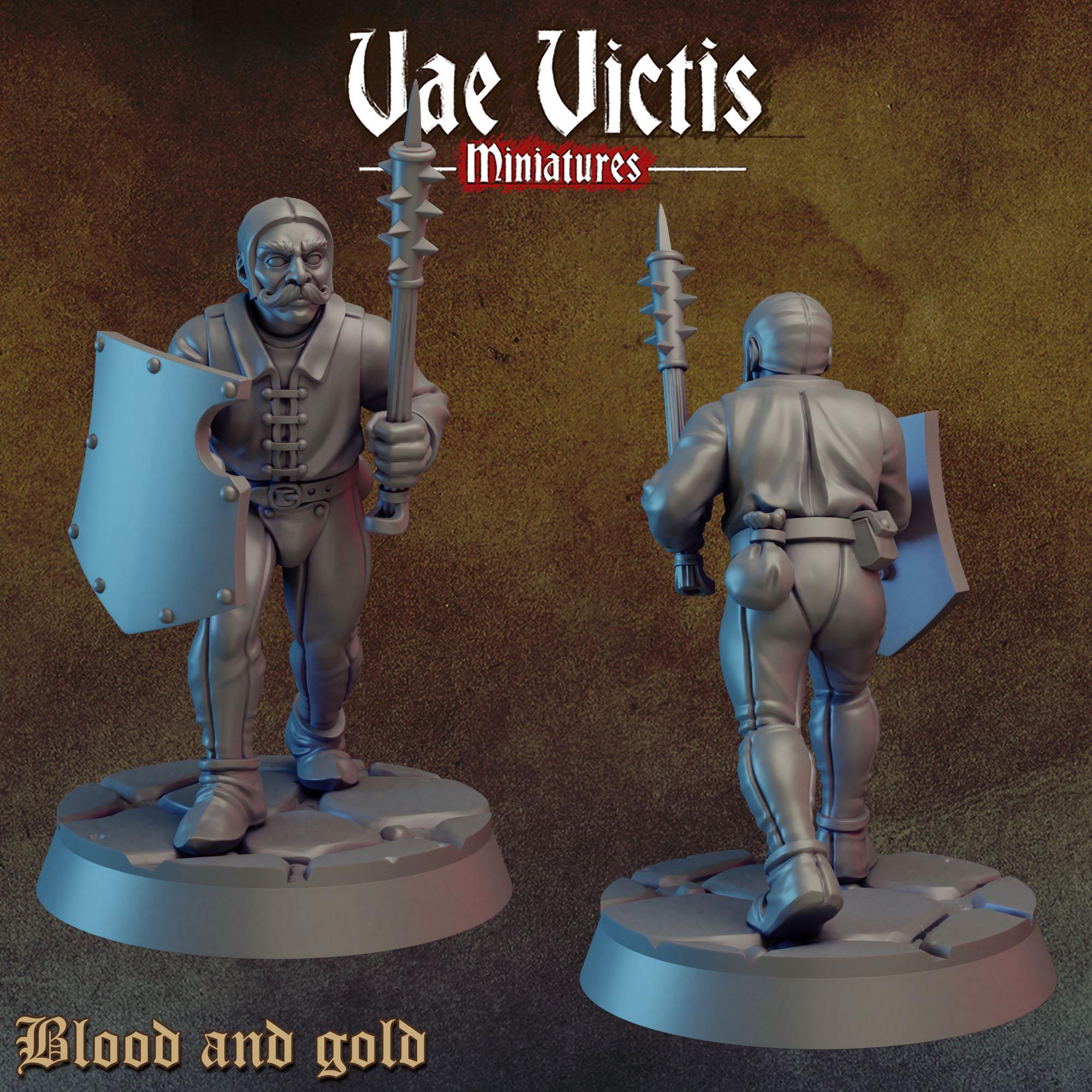 BLOOD AND GOLD Vol 1 - Vae Victis Fantasy Miniatures