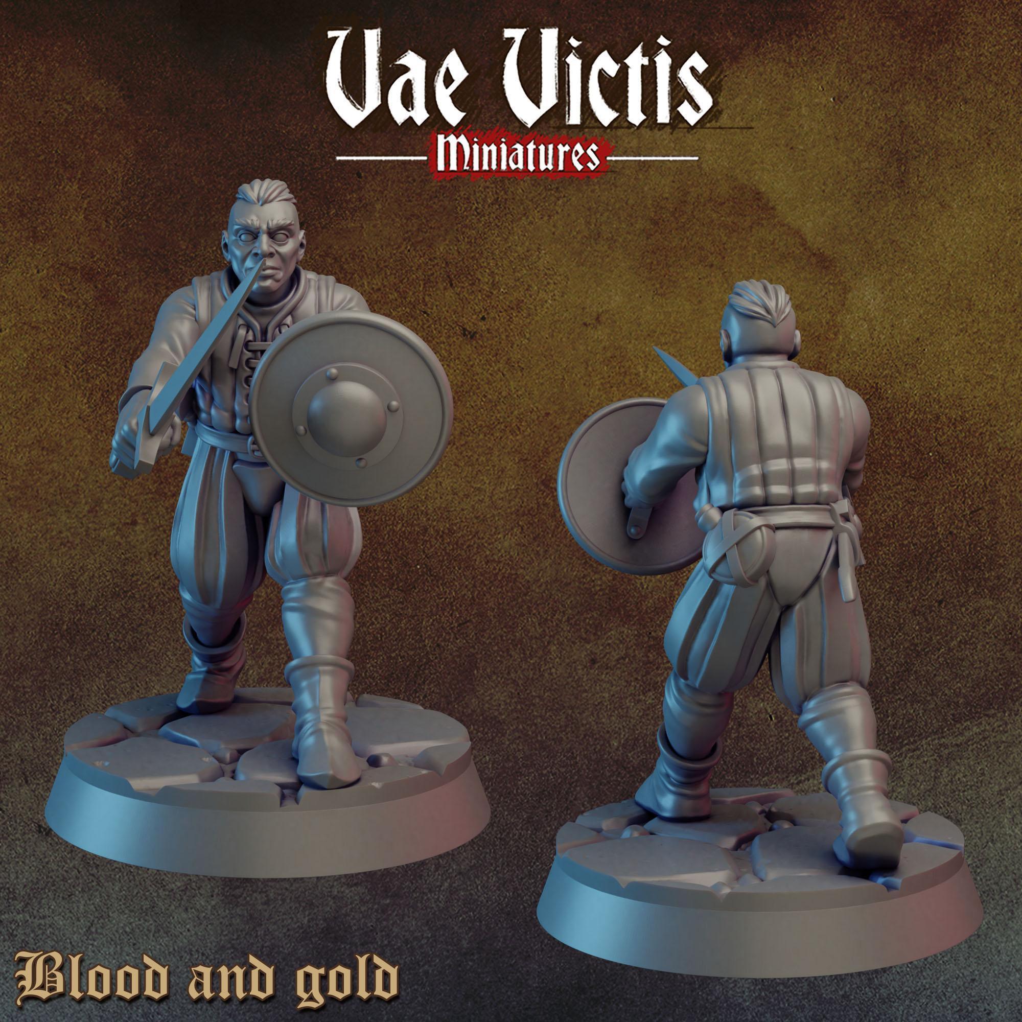 BLOOD AND GOLD Vol 1 - Vae Victis Fantasy Miniatures