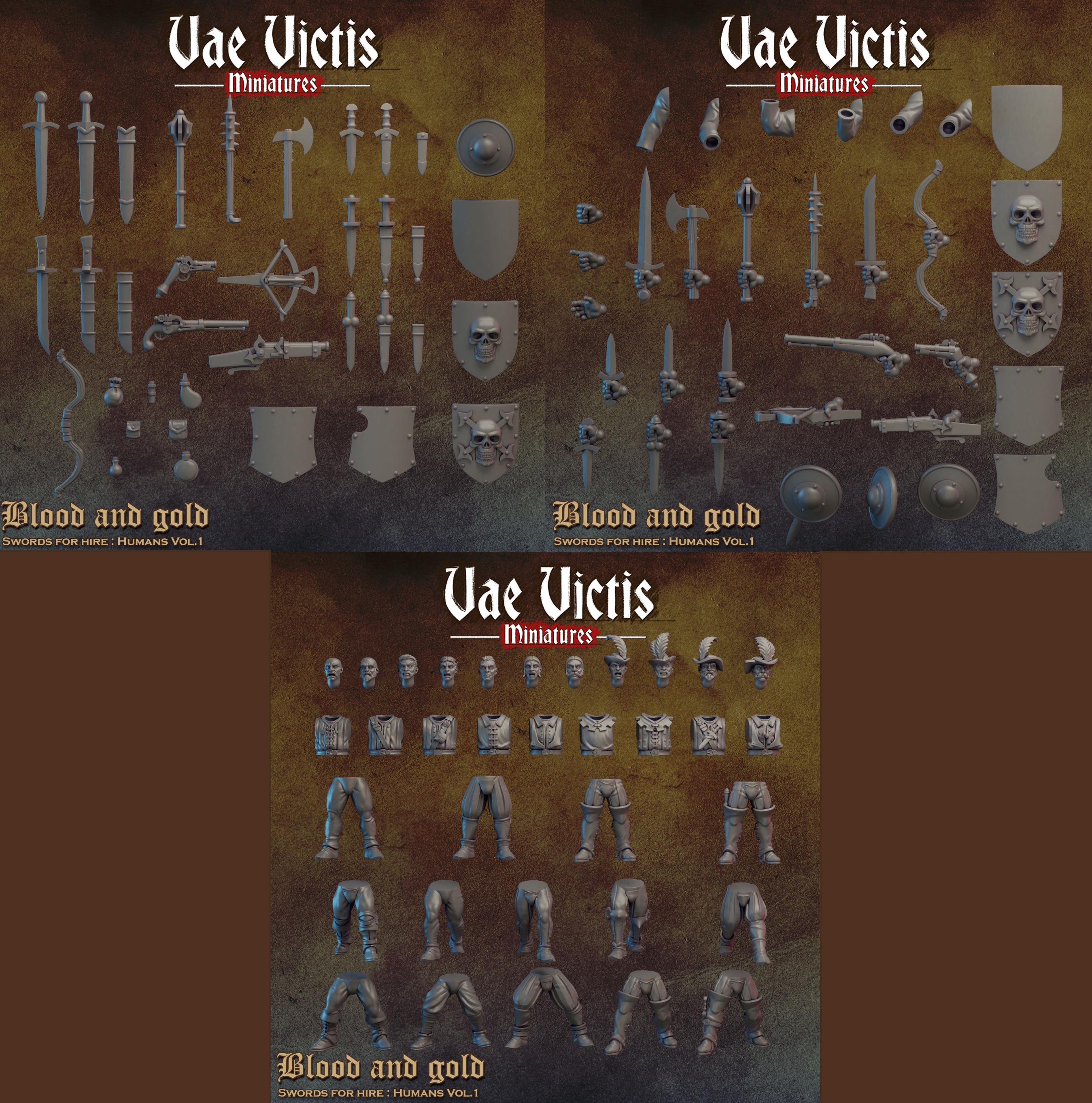 BLOOD AND GOLD Vol 1 - Vae Victis Fantasy Miniatures