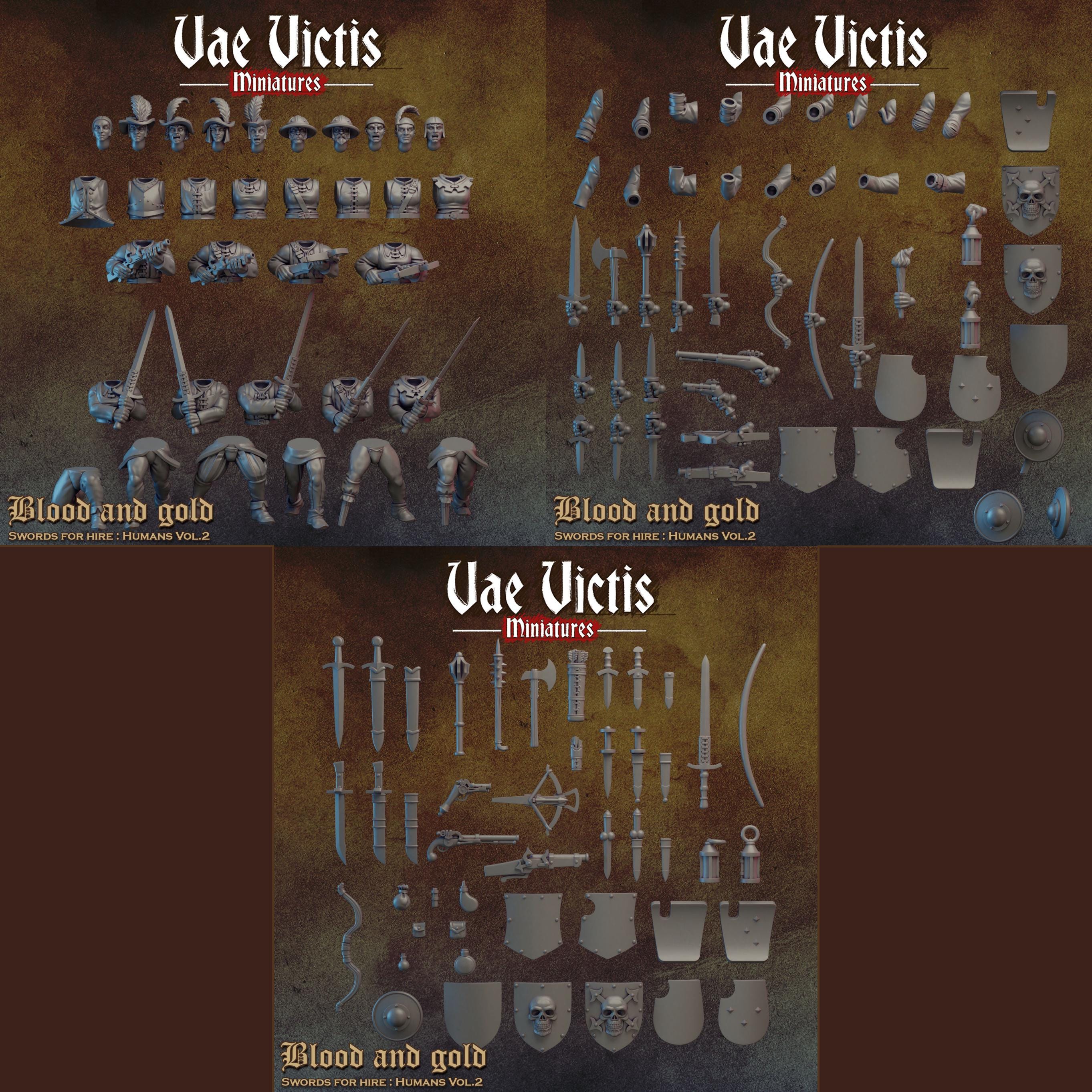 BLOOD AND GOLD Vol 2 - Vae Victis Fantasy Miniatures