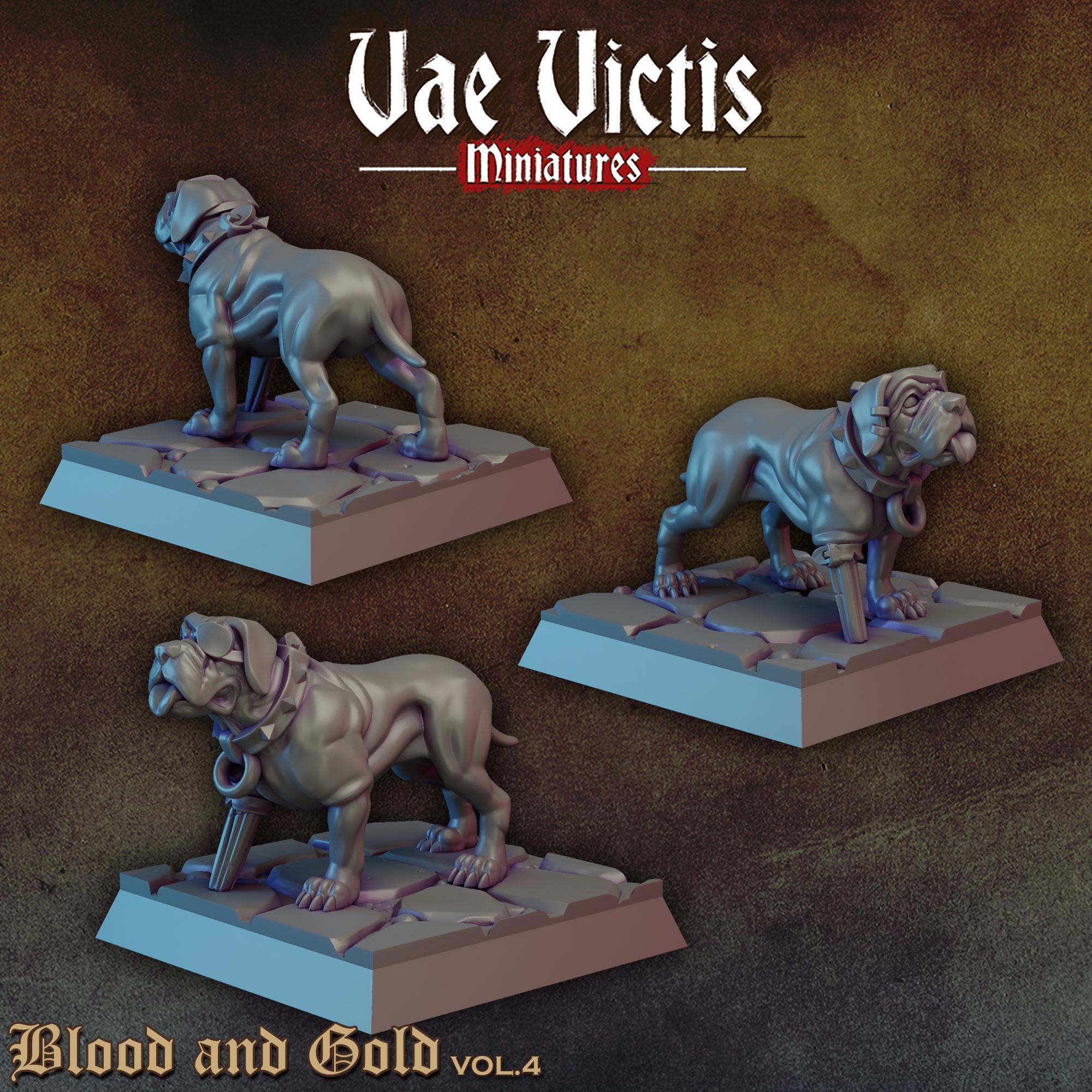 BLOOD AND GOLD Vol 4 - Vae Victis Fantasy Miniatures