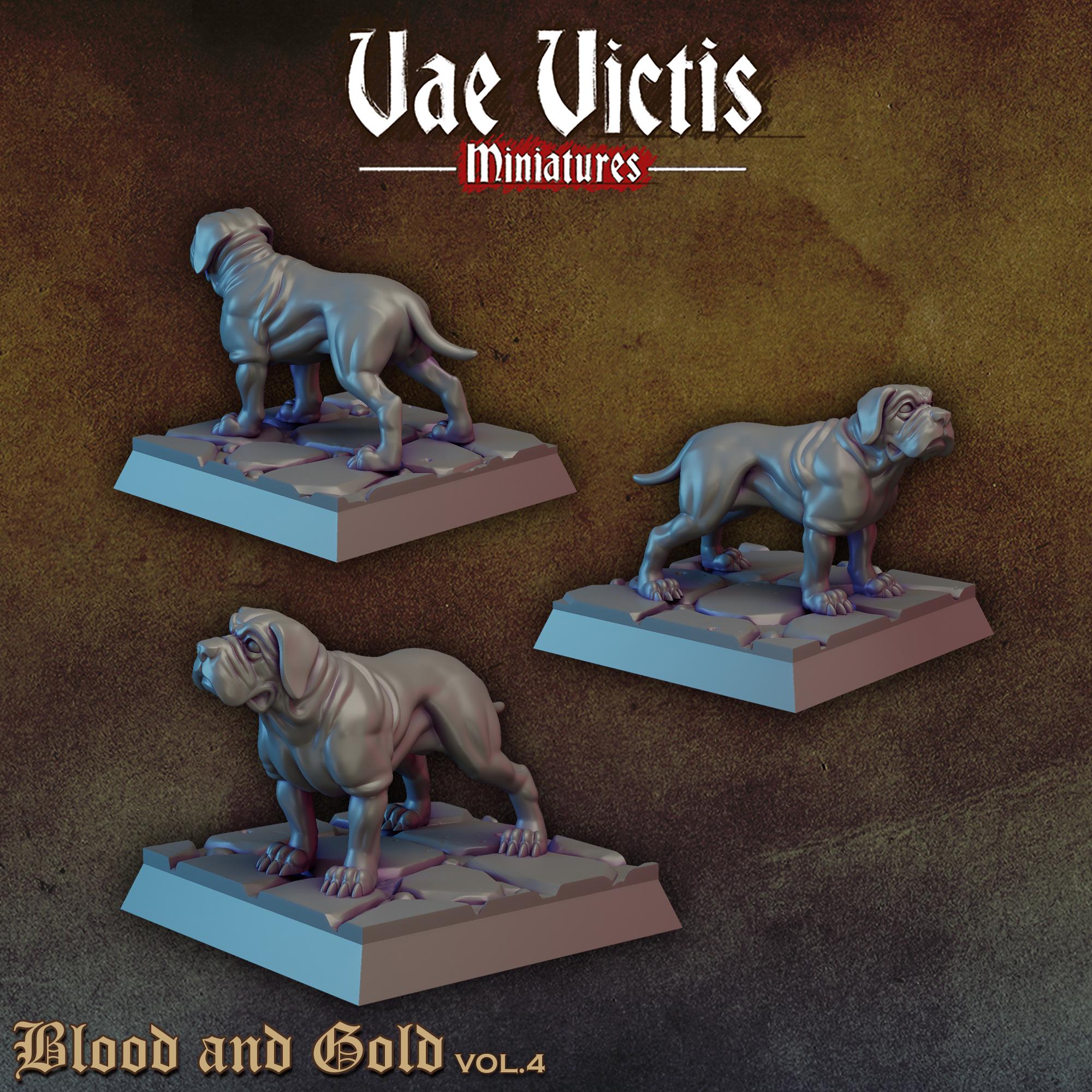 BLOOD AND GOLD Vol 4 - Vae Victis Fantasy Miniatures