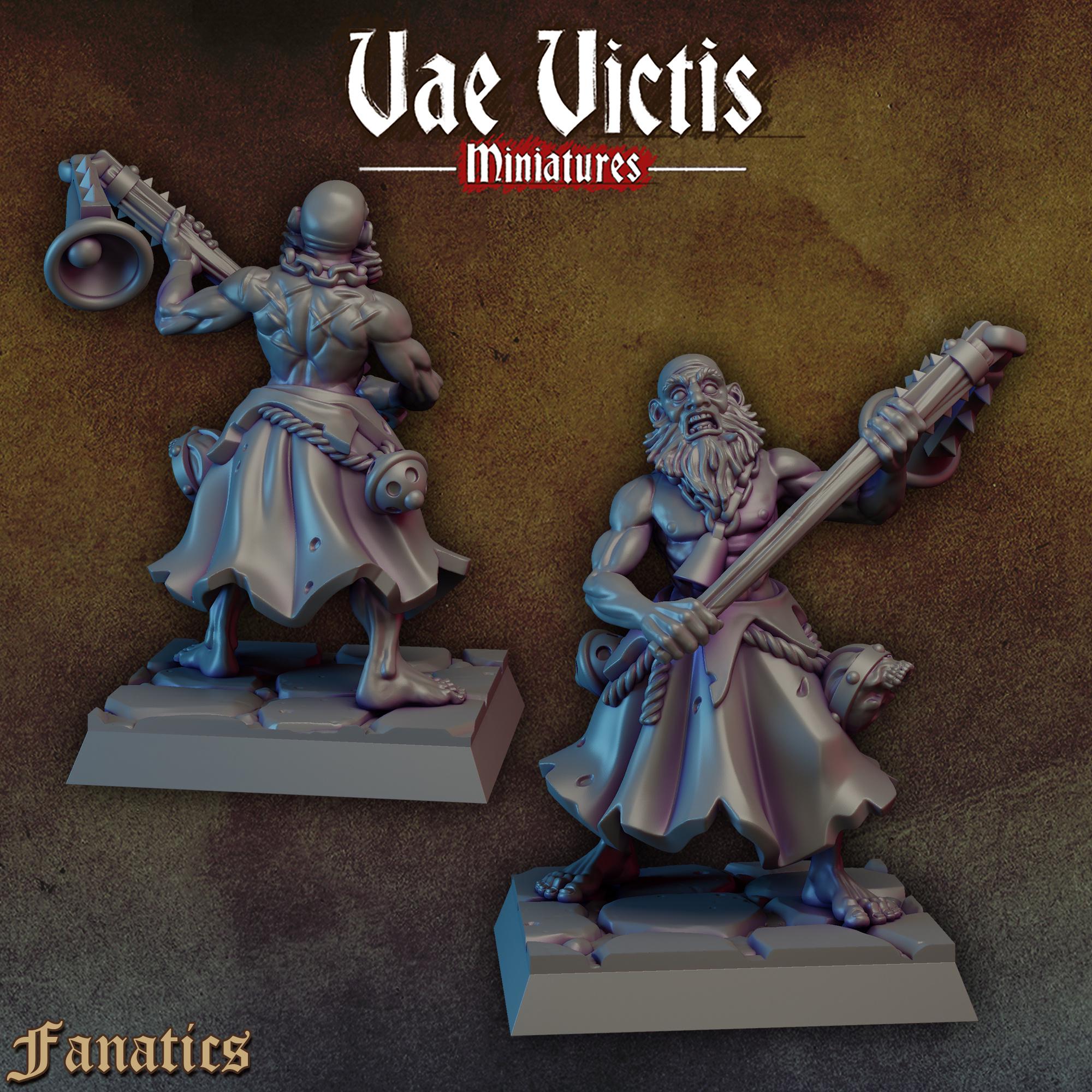 THE FANATICS VOL 1 - Vae Victis Fantasy Miniatures