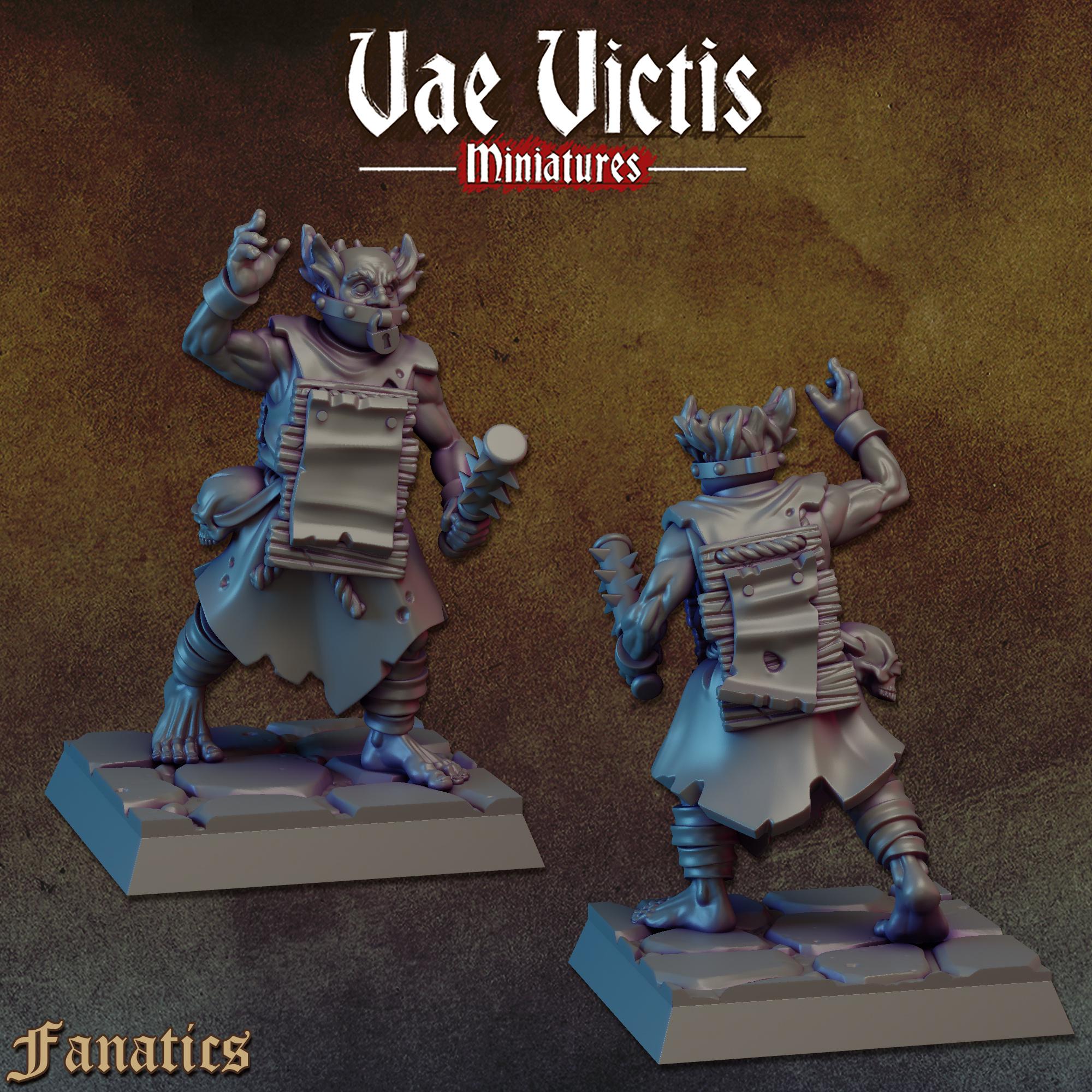 THE FANATICS VOL 1 - Vae Victis Fantasy Miniatures