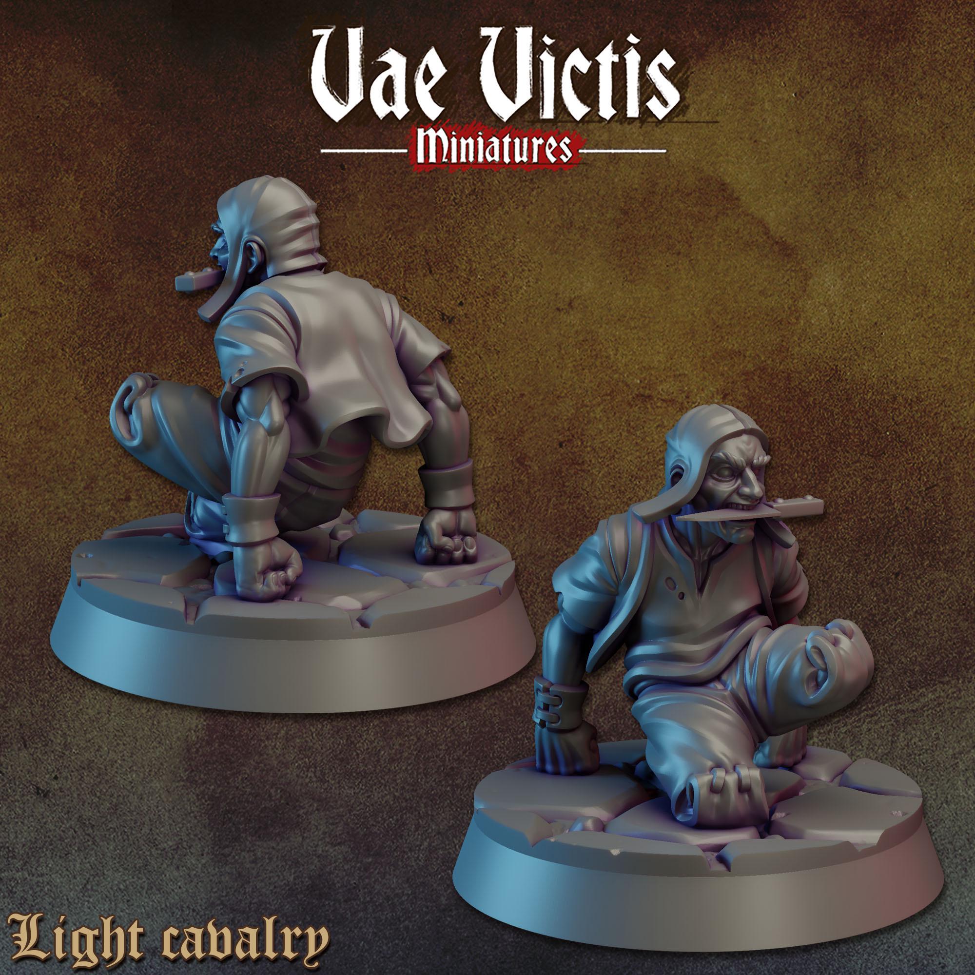 THE LIGHT CAVALRY - Vae Victis Fantasy Miniatures