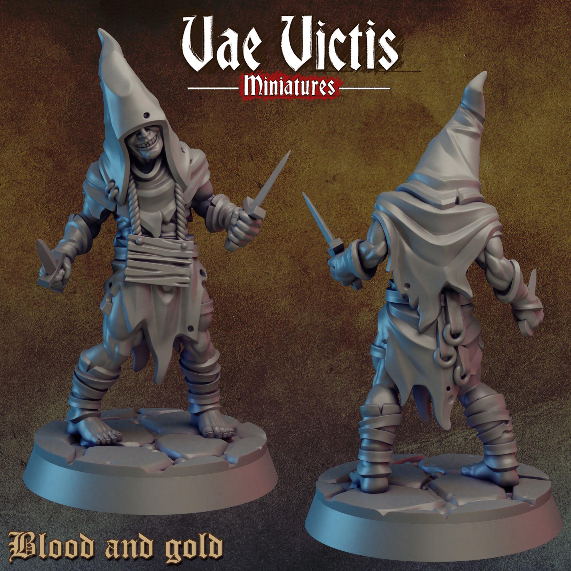 BLOOD AND GOLD Vol 1 - Vae Victis Fantasy Miniatures
