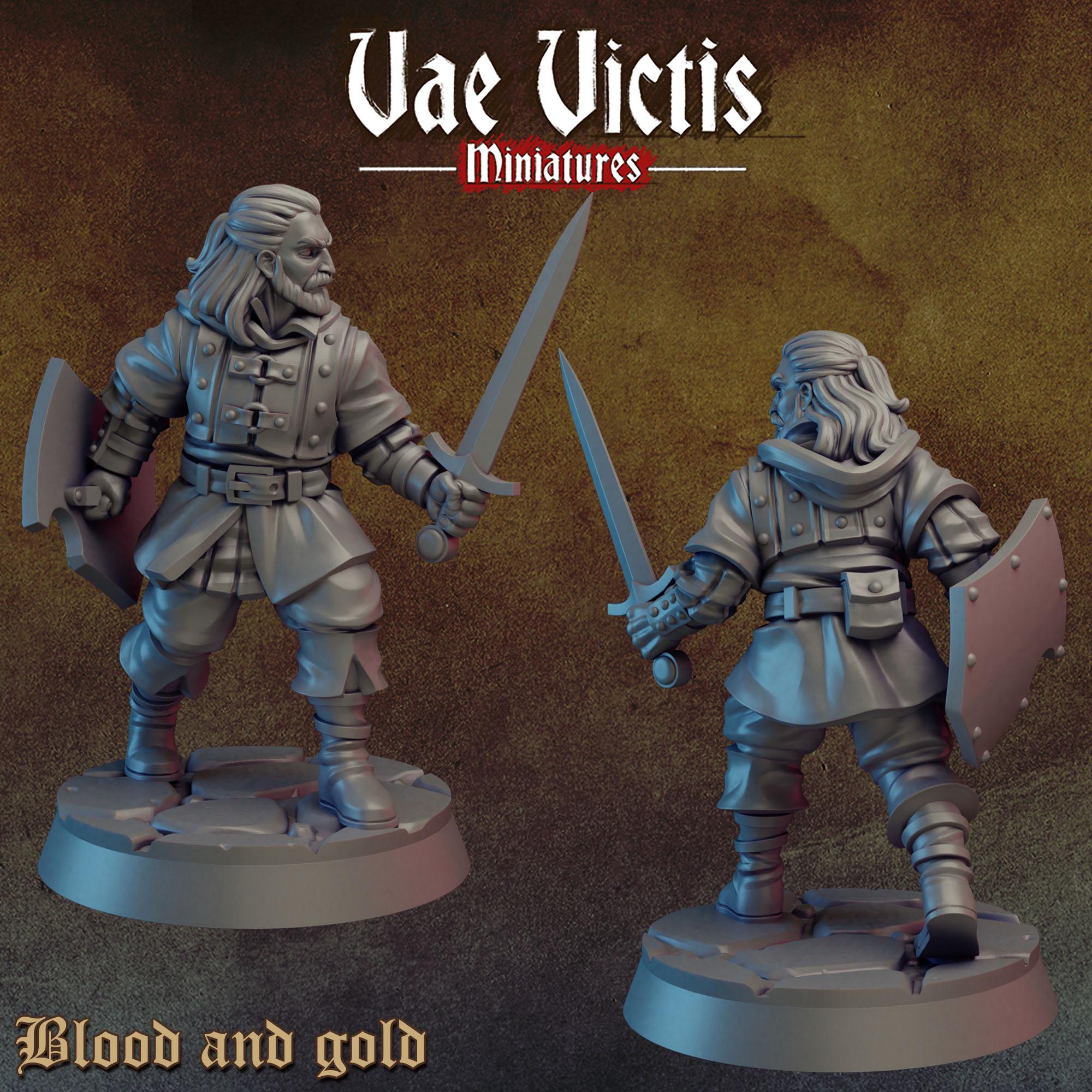 BLOOD AND GOLD Vol 1 - Vae Victis Fantasy Miniatures
