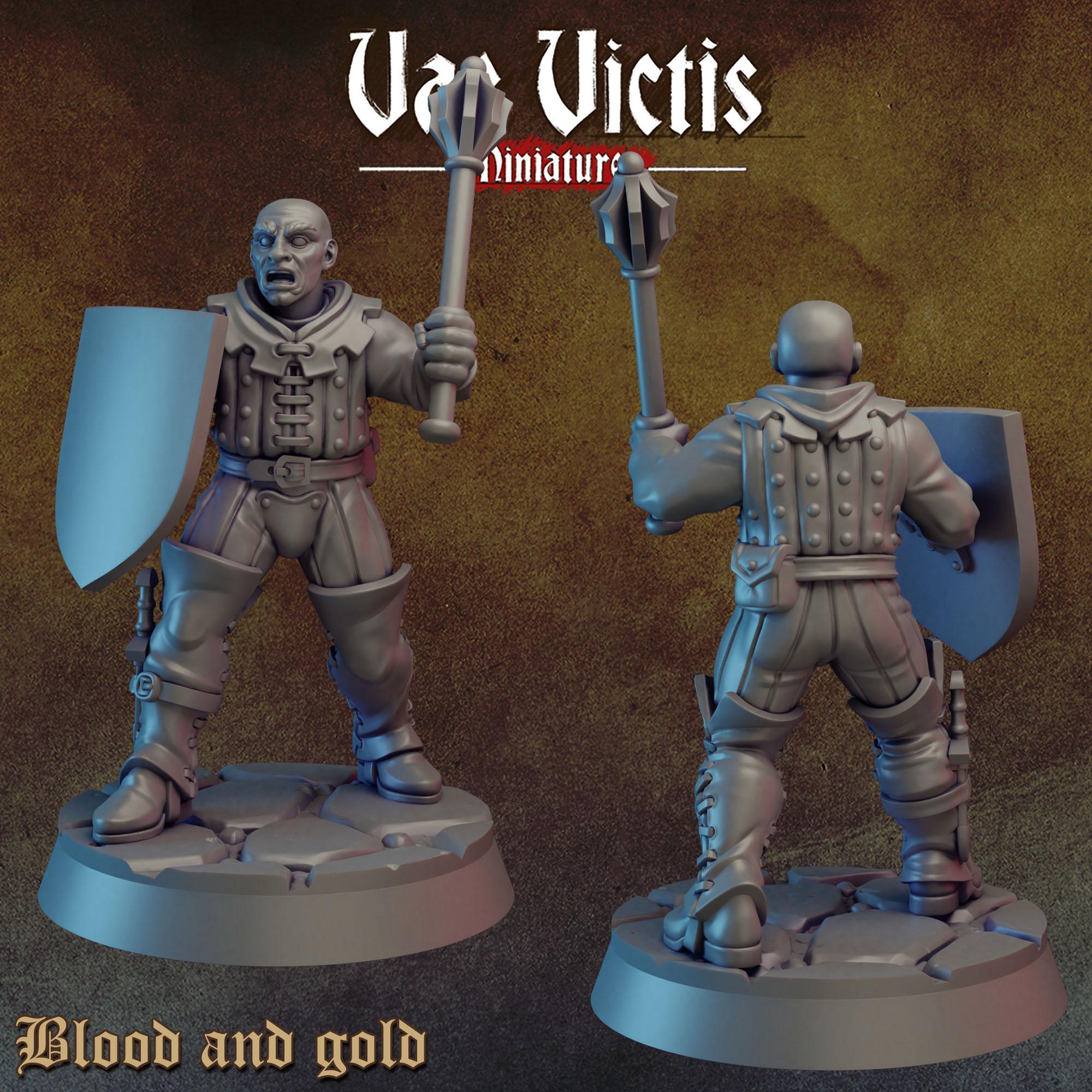 BLOOD AND GOLD Vol 1 - Vae Victis Fantasy Miniatures