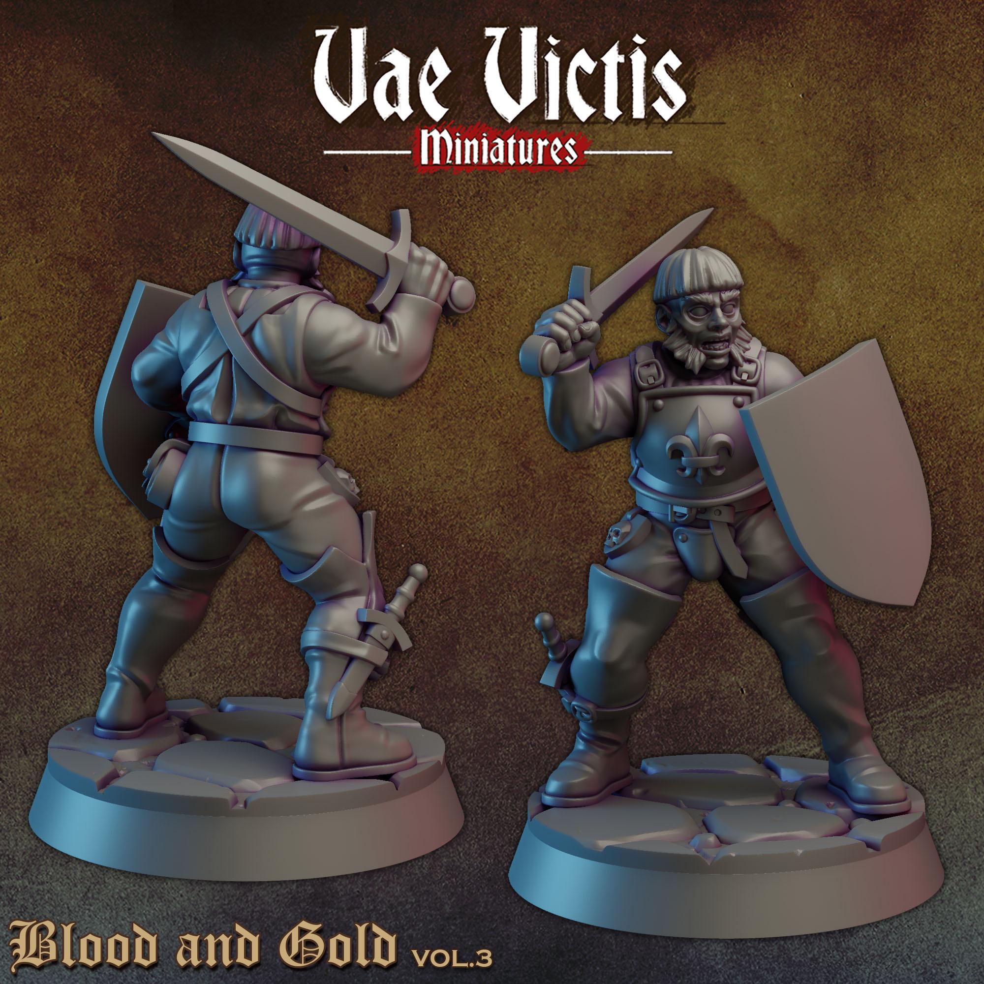 BLOOD AND GOLD Vol 3 - Vae Victis Fantasy Miniatures