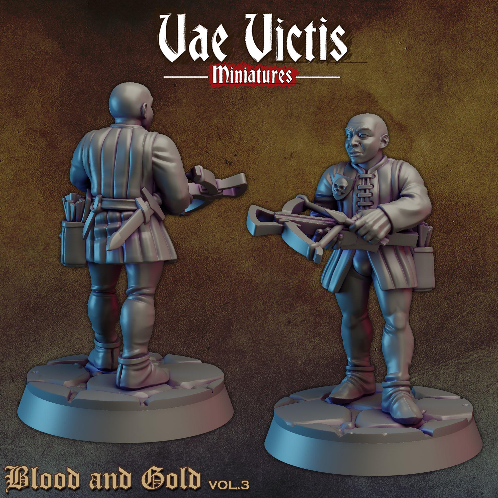 BLOOD AND GOLD Vol 3 - Vae Victis Fantasy Miniatures