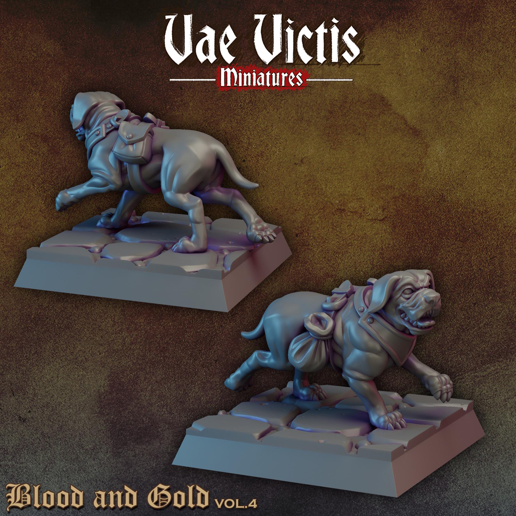 BLOOD AND GOLD Vol 4 - Vae Victis Fantasy Miniatures