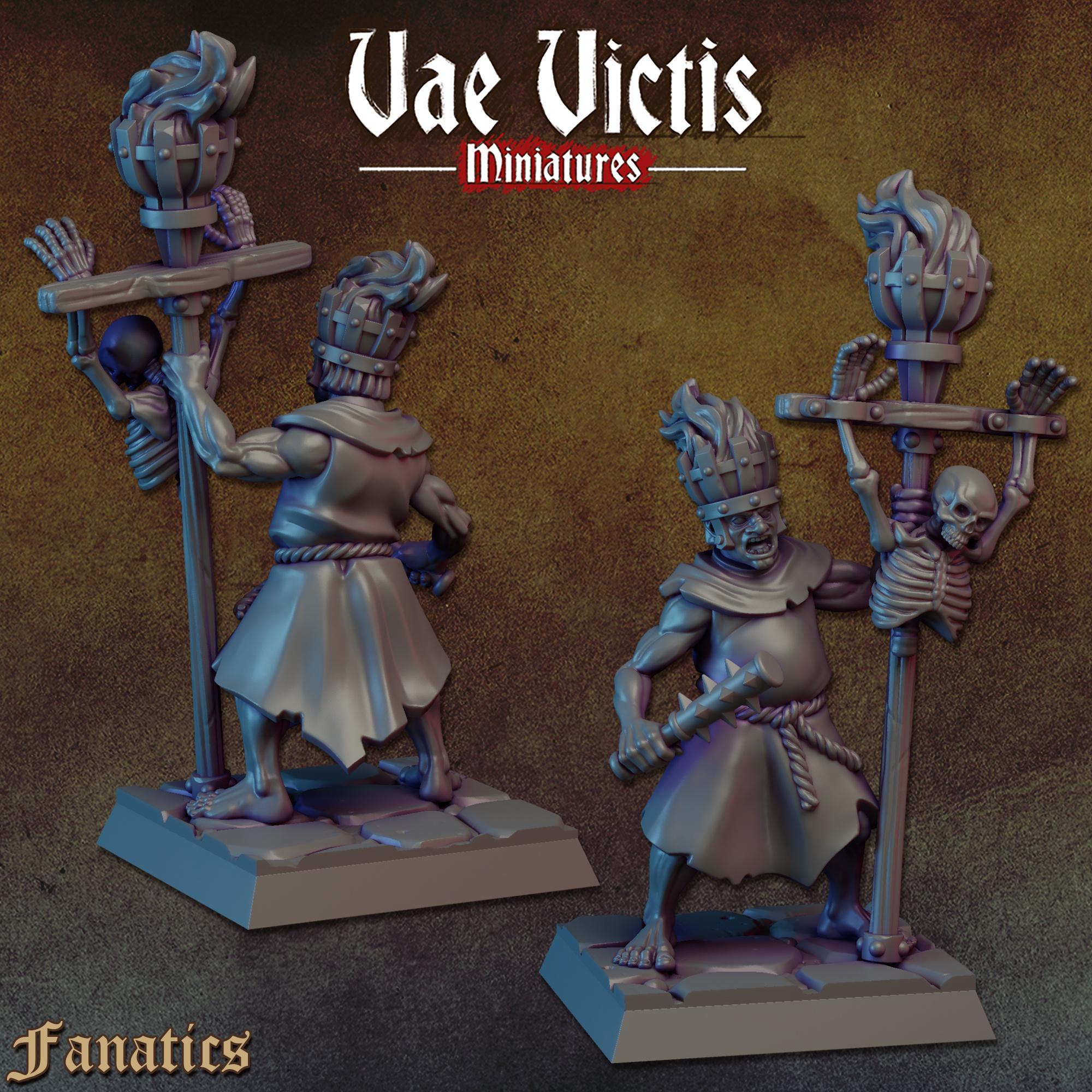 THE FANATICS VOL 1 - Vae Victis Fantasy Miniatures
