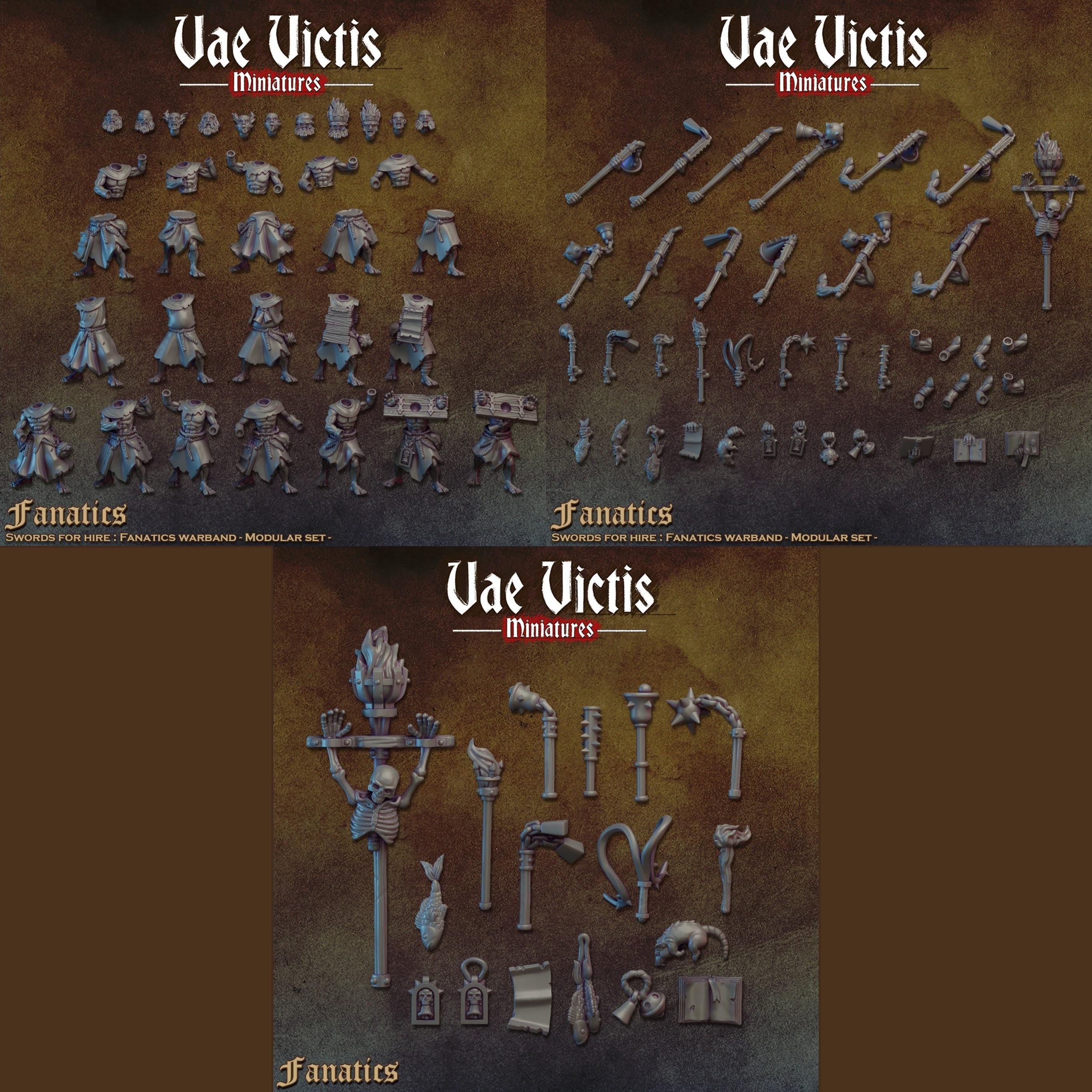 THE FANATICS VOL 1 - Vae Victis Fantasy Miniatures