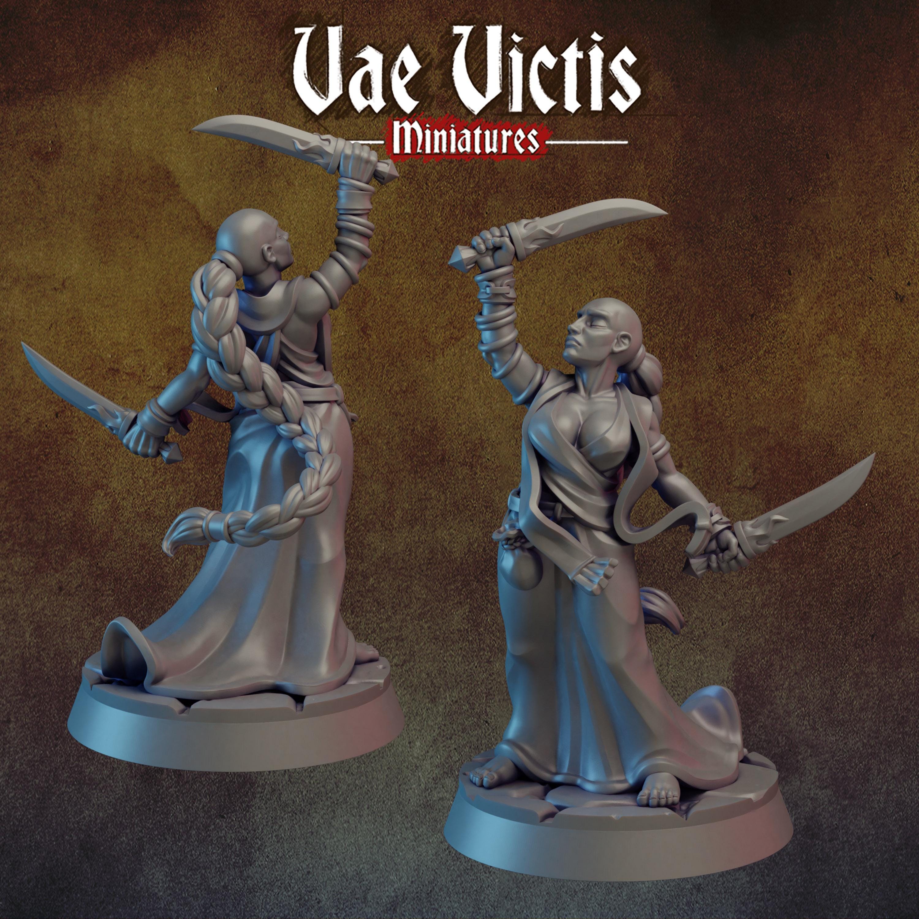 GREATSWORDS AND FEATHERS Vol 1 - Vae Victis Fantasy Miniatures