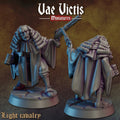 THE LIGHT CAVALRY - Vae Victis Fantasy Miniatures