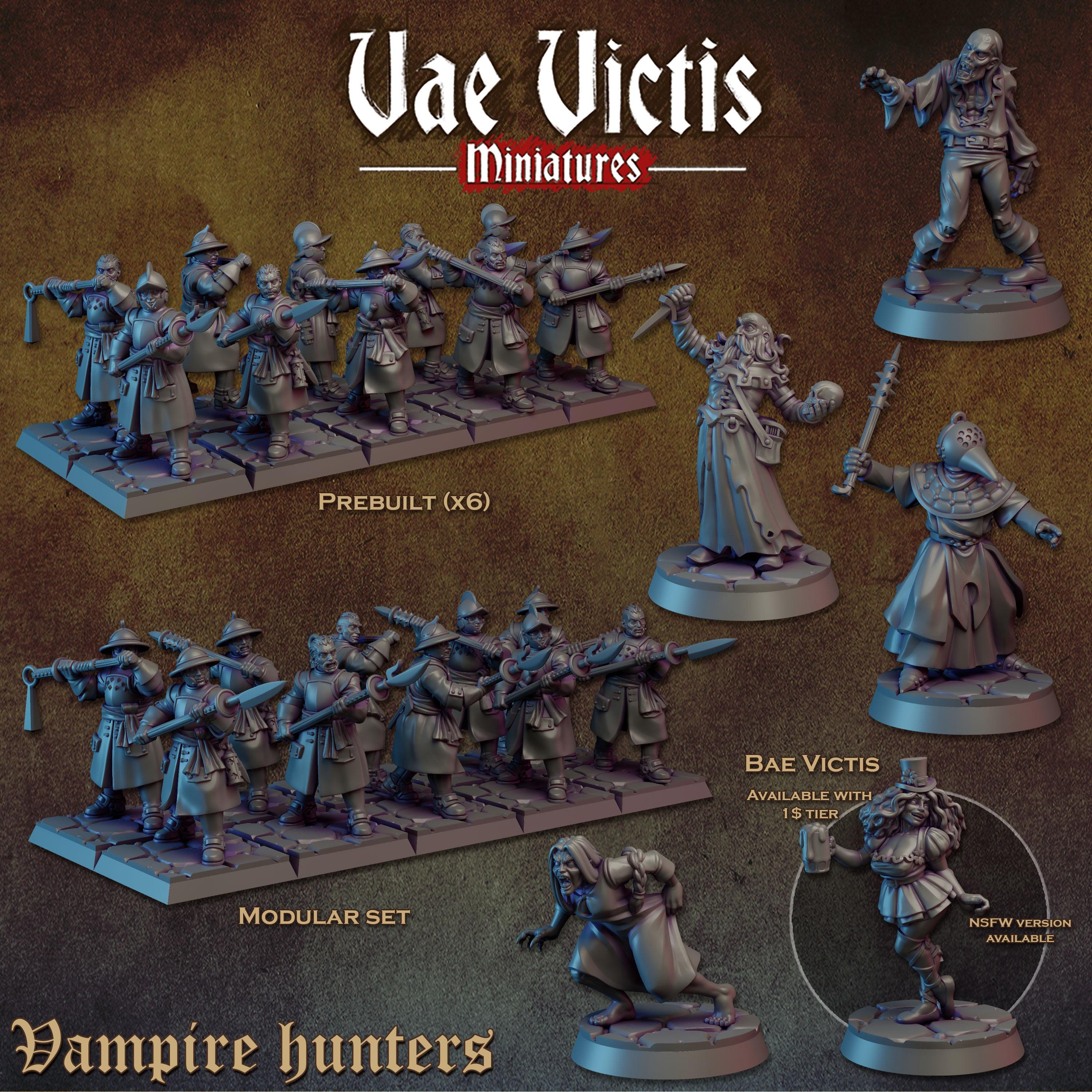THE VAMPIRE HUNTERS Vol 1 - Vae Victis Fantasy Miniatures
