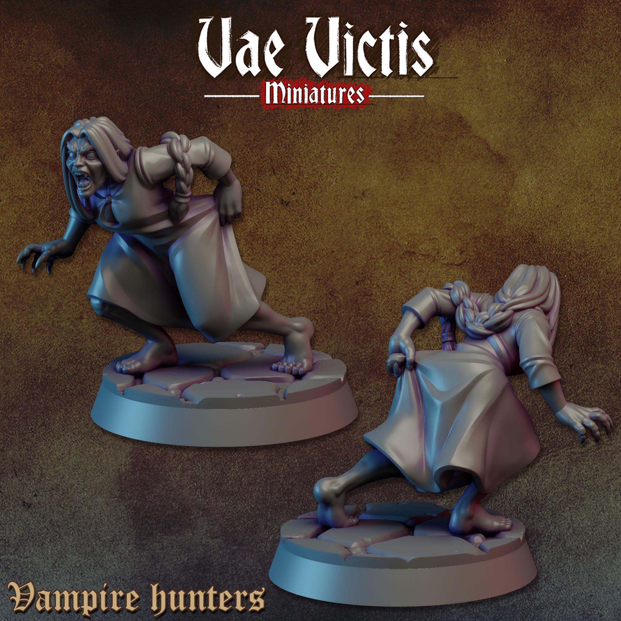 THE VAMPIRE HUNTERS Vol 1 - Vae Victis Fantasy Miniatures