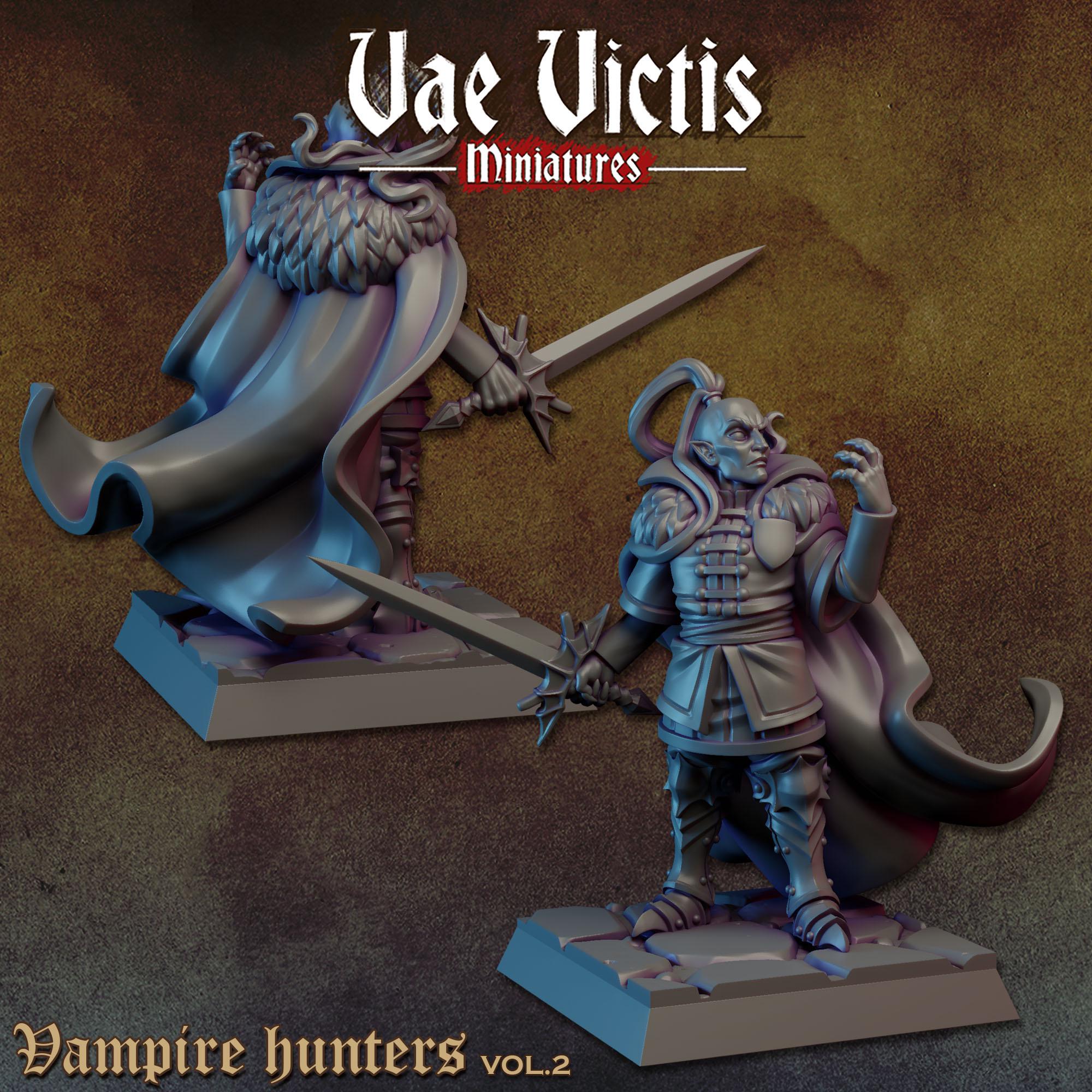 THE VAMPIRE HUNTERS Vol 2 - Vae Victis Fantasy Miniatures